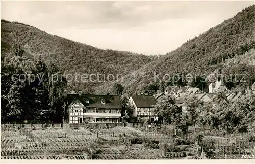 AK / Ansichtskarte  Ilsenburg_Harz Panorama Ilsenburg Harz