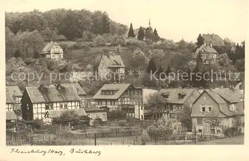 AK / Ansichtskarte  Ilsenburg_Harz Burkberg Ilsenburg Harz