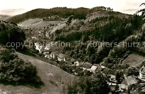 AK / Ansichtskarte  Bad_Grund Iberger Kaffeehaus Panorama Bad_Grund