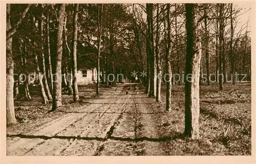 AK / Ansichtskarte  Stampnitza_Stepnica_PL Nr. 10 Waldweg am Forsthaus Serie Unseres liebes Oberschlesien 