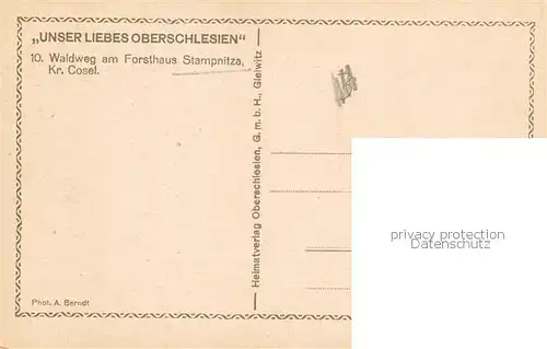 AK / Ansichtskarte  Stampnitza_Stepnica_PL Nr. 10 Waldweg am Forsthaus Serie Unseres liebes Oberschlesien 