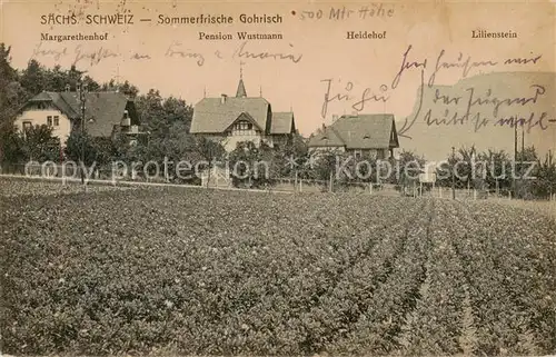 AK / Ansichtskarte  Gohrisch Margarethenhof Pension Wustmann Heidehof Lilienstein Elbsandsteingebirge Gohrisch