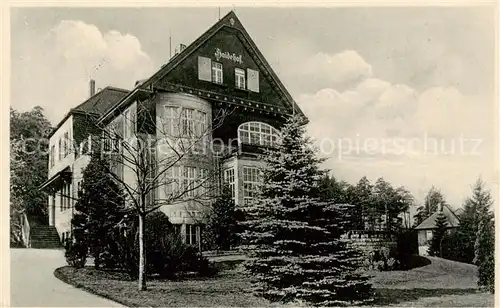 AK / Ansichtskarte  Gohrisch Erholungsheim Haidehof Gohrisch