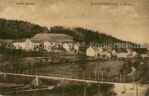 AK / Ansichtskarte 73820744 Bienenmuehle_Rechenberg_Osterzgebirge Teilansicht mit Kadens Gasthof 