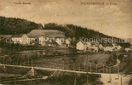 AK / Ansichtskarte  Bienenmuehle_Rechenberg_Osterzgebirge Teilansicht mit Kadens Gasthof 