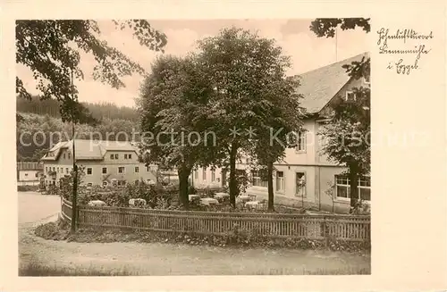 AK / Ansichtskarte  Bienenmuehle_Rechenberg_Osterzgebirge Gasthof Bienenmuehle 