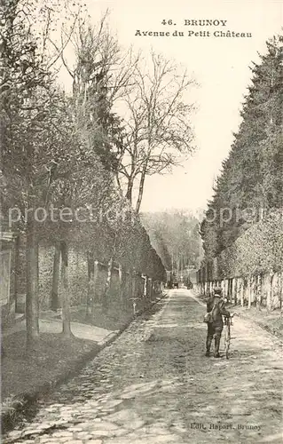 AK / Ansichtskarte Brunoy_91_Essonne Avenue du Petit Chateau 