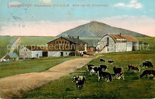 AK / Ansichtskarte  Schreiberhau_Szklarska_Poreba_Riesengebirge_PL Wiesenbaude mit Blick zur Schneekoppe 