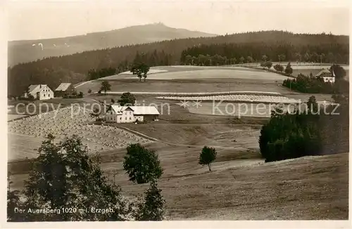 AK / Ansichtskarte  Auersberg_1020m_Wildenthal_Erzgebirge Der Auersberg 