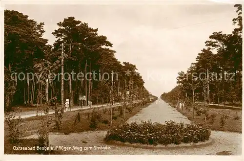 AK / Ansichtskarte  Baabe_Ostseebad_Ruegen Weg zum Strande Baabe_Ostseebad_Ruegen