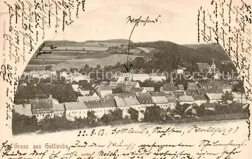 AK / Ansichtskarte  Gottleuba-Berggiesshuebel_Bad Panorama Gottleuba-Berggiesshuebel