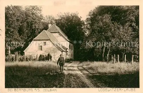 AK / Ansichtskarte  Bernburg_Saale Loesewitzer Laube Bernburg_Saale