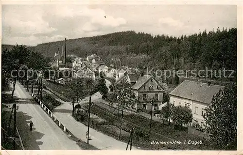 AK / Ansichtskarte  Bienenmuehle_Rechenberg_Osterzgebirge Ortsansicht 