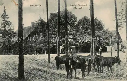 AK / Ansichtskarte  Bergfelde_Hohen_Neuendorf Koenigl Foersterei Eiseneck 