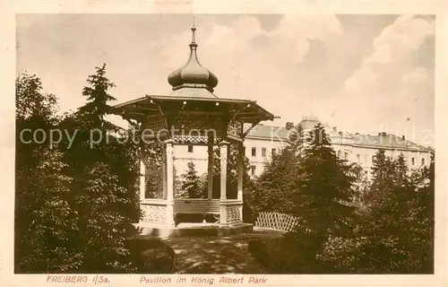 AK / Ansichtskarte  Freiberg__Sachsen Pavillon im Koenig Albert Park 