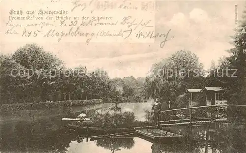 AK / Ansichtskarte 73821542 Eberswalde Promenade von der Schwaerze Eberswalde