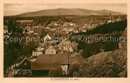 AK / Ansichtskarte  Elbingerode_Harz Panorama Elbingerode Harz