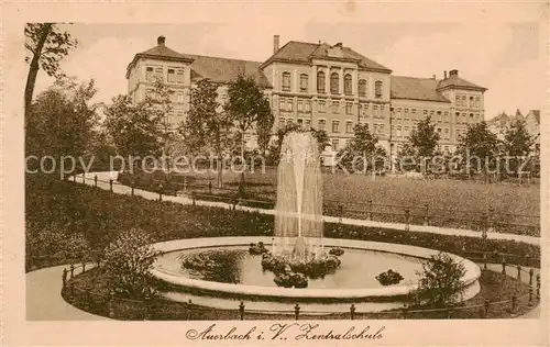 AK / Ansichtskarte  Auerbach__Vogtland Zentralschule Brunnen Fontaene 