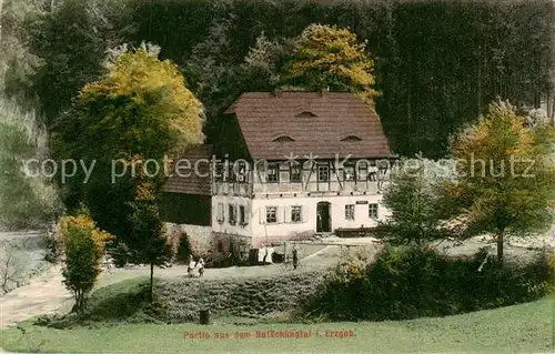 AK / Ansichtskarte  Natschungtal_Natzschungtal_Marienberg Villa 