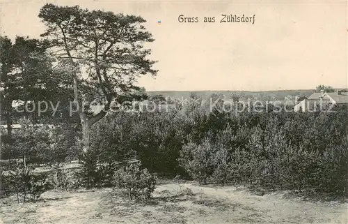 AK / Ansichtskarte  Zuehlsdorf_Muehlenbecker_Land Panorama 