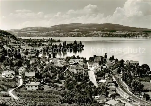 AK / Ansichtskarte Mannenbach_Untersee Panorama mit Berlingen Mannenbach Untersee