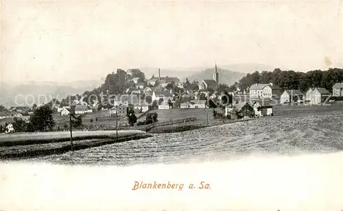 AK / Ansichtskarte  Blankenburg_Harz Panorama Blankenburg_Harz