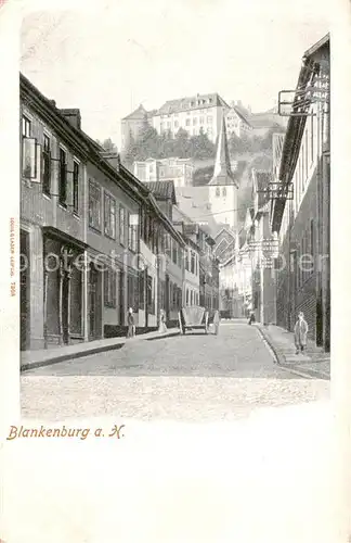 AK / Ansichtskarte  Blankenburg_Harz Dorfstrasse mit Schlossblick Blankenburg_Harz