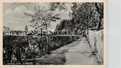 AK / Ansichtskarte  Zielenzig_Sulecin_Ostbrandenburg_PL Promenade 