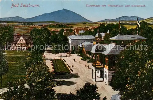 AK / Ansichtskarte  Bad_Salzbrunn_Szczawno-Zdroj_PL Elisenhalle mit Wiesenhaus und Hochwald 