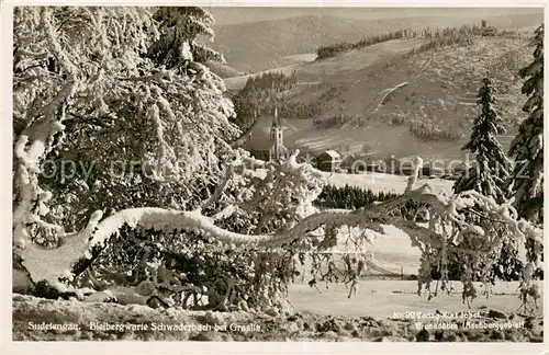 AK / Ansichtskarte  Graslitz_Kraslice_CZ Bleibergwarte Schwaderbach 