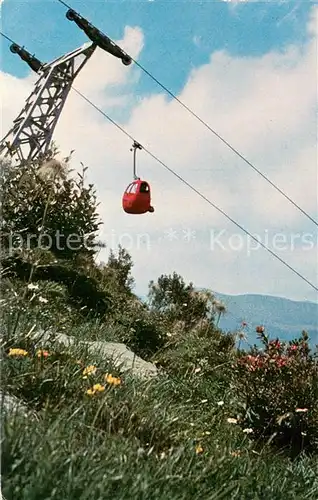 AK / Ansichtskarte  Seilbahn_Cable-Car_Telepherique Gondelbahn Zweisimmen ue.M.Rinderberg 