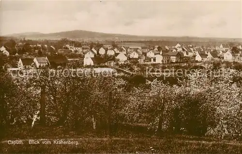 AK / Ansichtskarte  Caputh_Schwielowsee Blick vom Kraehenberg 