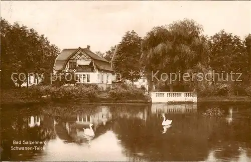 AK / Ansichtskarte  Bad_Salzelmen Schwanen Teich Bad_Salzelmen