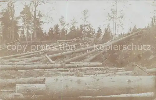 AK / Ansichtskarte  Buschhaeuser_Reesdorf_Moeckern Waldbruch 