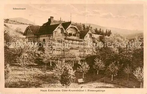 AK / Ansichtskarte  Ober-Krummhuebel_Karpacz_Riesengebirge_PL Haus Edelweiss Schneekoppe 