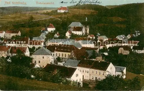 AK / Ansichtskarte  Bad_Gottleuba-Berggiesshuebel Panorama Bad