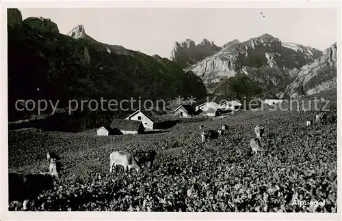 AK / Ansichtskarte Alpsiegel_Bruelisau_IR Panorama 