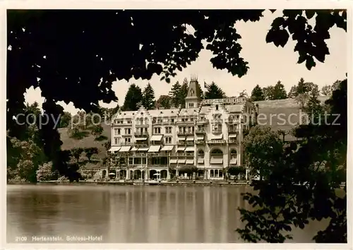 AK / Ansichtskarte Hertenstein__LU Schloss Hotel 