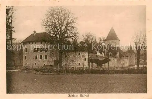 AK / Ansichtskarte Hallwil_Hallwyl_AG Schloss Hallwil 