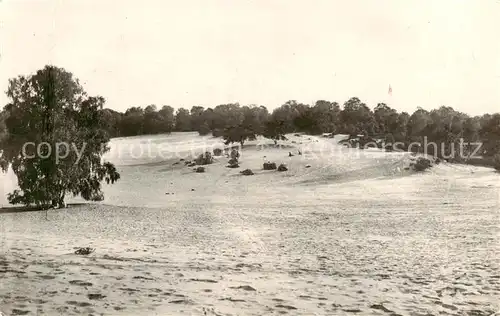 AK / Ansichtskarte Ermenonville_60_Oise Foret La mer de sable 