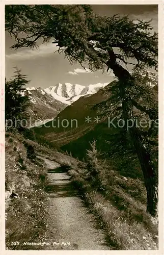 AK / Ansichtskarte Piz_Palue Hoehenweg Piz_Palue