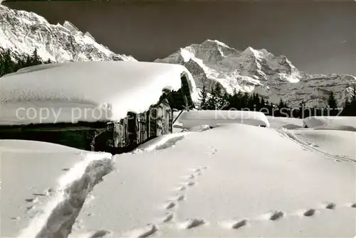 AK / Ansichtskarte Wengen__BE Das Gizidoerfli im Winter mit Jungfrau 