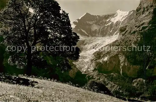 AK / Ansichtskarte Grindelwald Berg Ahorn mit Fiescherhoerner Grindelwald