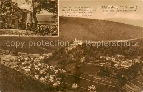 AK / Ansichtskarte  Schwarzburg_Thueringer_Wald Blick vom Trippsteinhaeuschen Schwarzburg_Thueringer