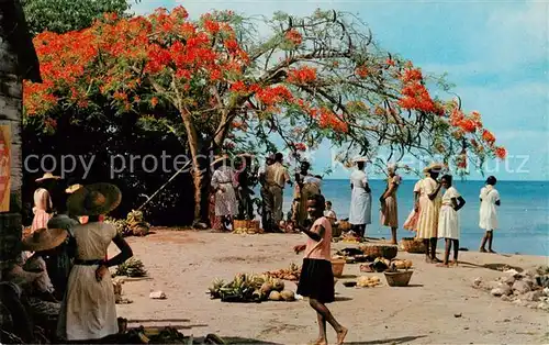 AK / Ansichtskarte  Martinique Trois Rivieres Marche en plein air Martinique