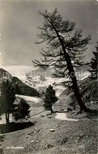 AK / Ansichtskarte Rosegtal Panorama Rosegtal