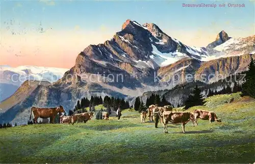 AK / Ansichtskarte Braunwald_GL Braunwalderalp mit Ortstock Braunwald GL