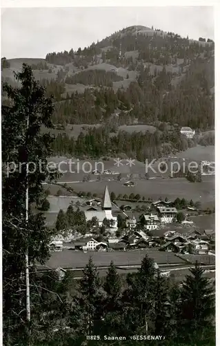 AK / Ansichtskarte Saanen_BE Gessenay 