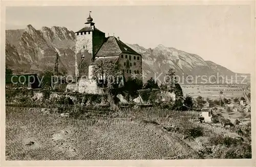 AK / Ansichtskarte Buchs__Buchs Werdenberg_SG Schloss Werdenberg 