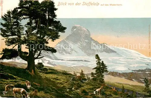 AK / Ansichtskarte Matterhorn_Mont_Cervin_4478m_VS Blick von der Staffelalp 